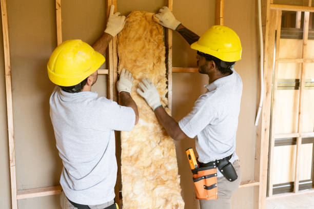 Best Crawl Space Insulation  in Gray Summit, MO